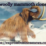 woolly mammoth clone