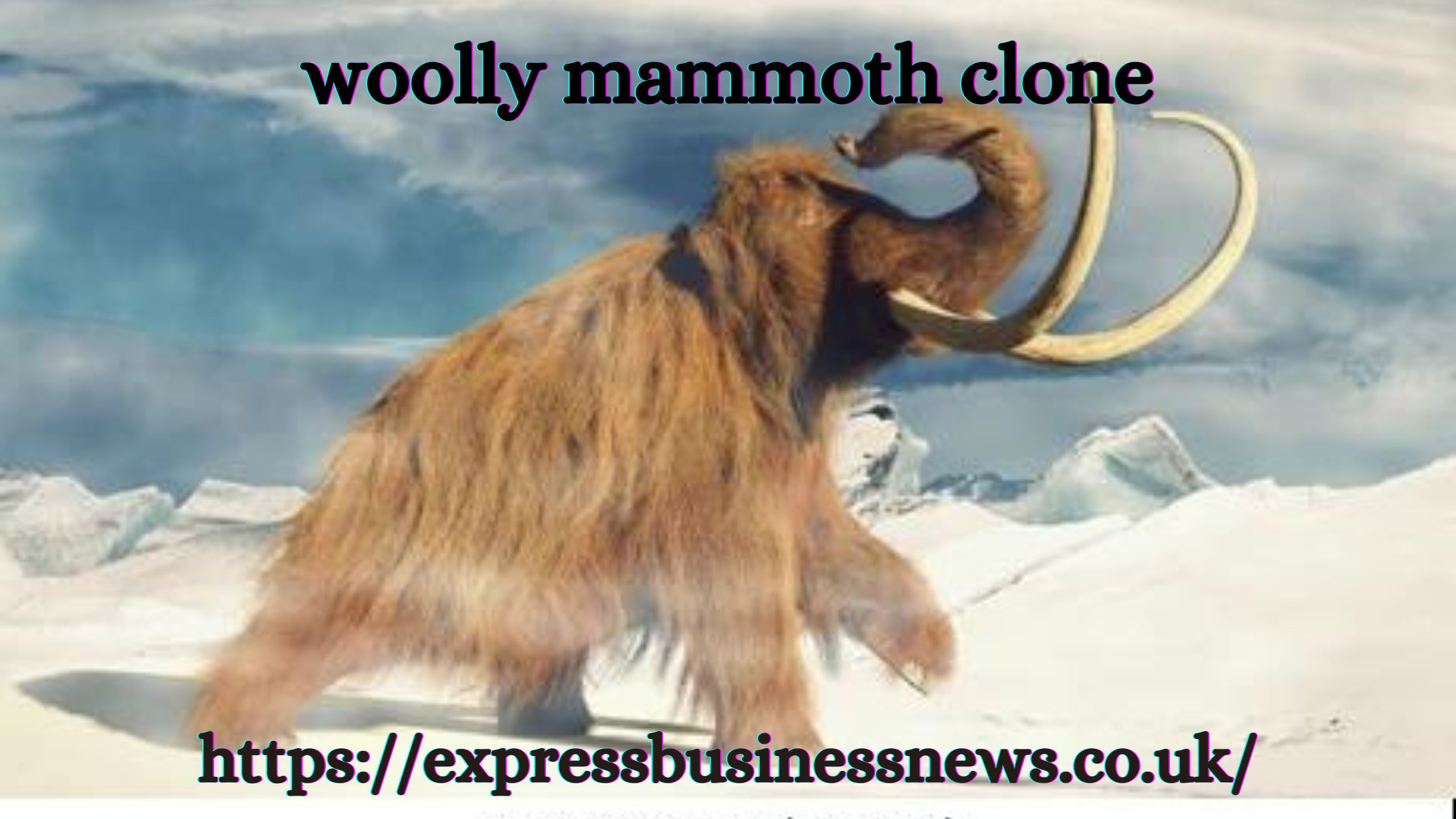 woolly mammoth clone