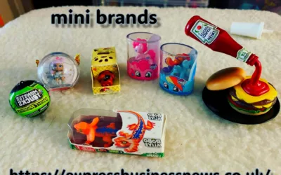 mini brands