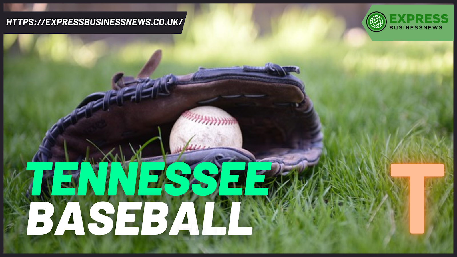 Tennessee Baseball
