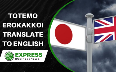 Totemo Erokakkoi Translate to English