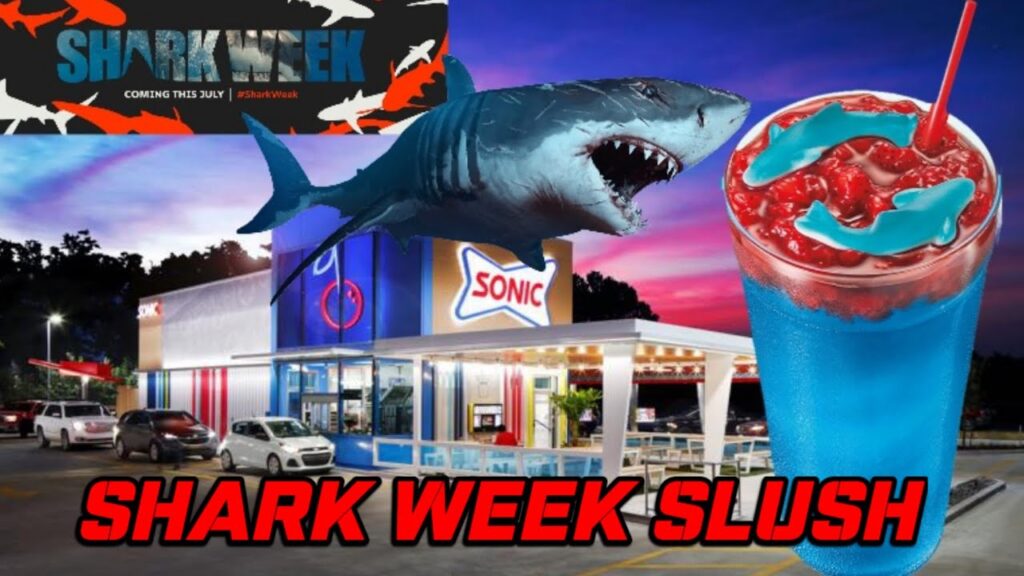 Sonic Shark Week Slush 2024